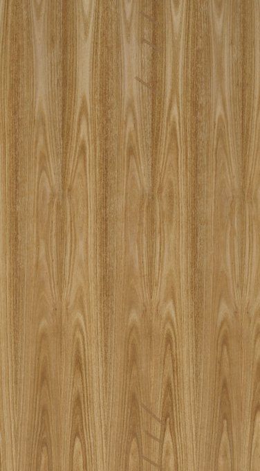 Eucalyptus rustique  3100 x 1250 mm  0.9 mm REF15L