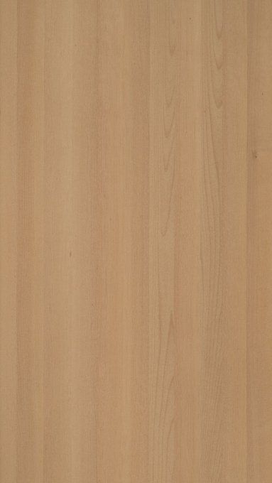 Hêtre étuvé 3100 x 1250 mm  0.9 mm REF18L